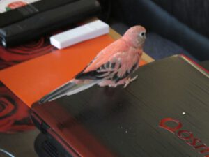 IMG_5864_1024