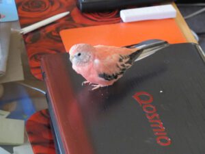 img_5858_1024
