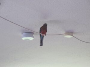 img_5865_1024