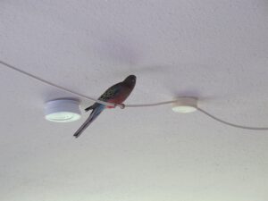 img_5866_1024