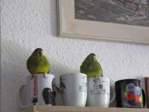 img_6156_1024